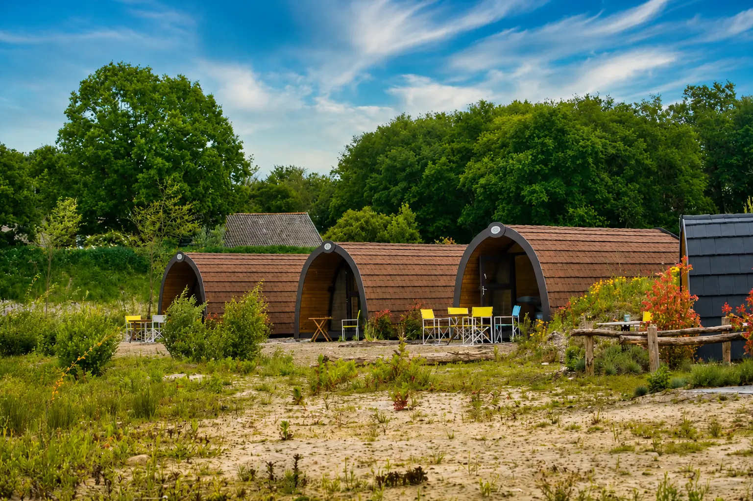 Pod in de avondzon